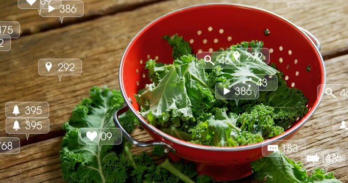 Red colander with kale, leaves dropping while reaction bubbles growing, boosting food marketing