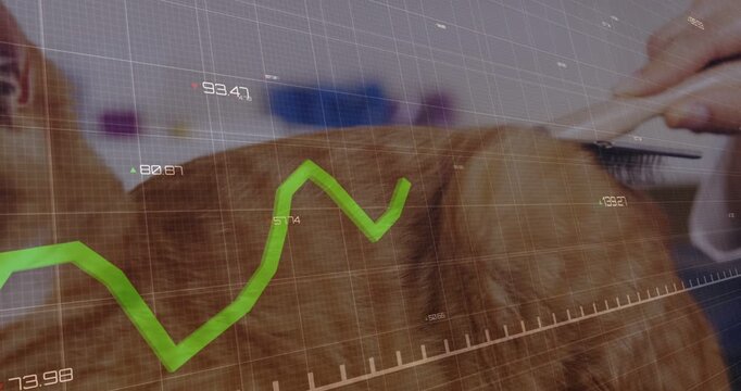 Vet groomer brushing orange tabby with metal comb for care, green graph overlaying cat and comb