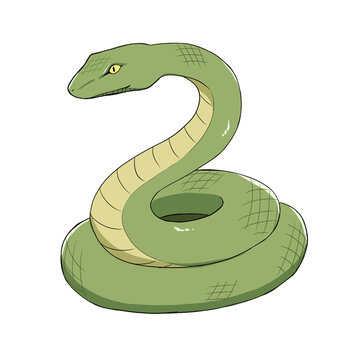 Coiled green snake cartoon illustration on black