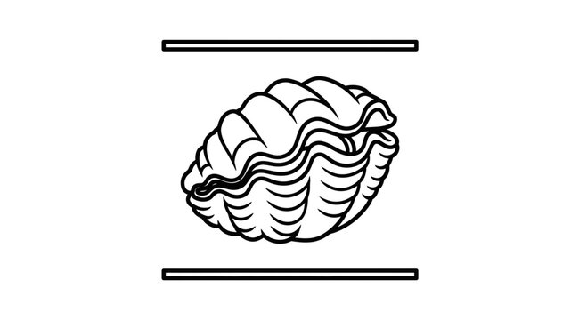 Minimalist vector outline drawing depicting a natural marine bivalve mollusk shell design