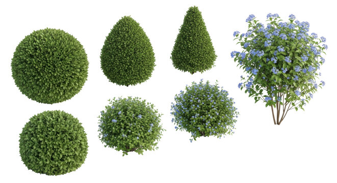 photorealistic 3d rendered catalog of various horticultural digital assets: green topiary bushes and shrubs with delicate blue blossoms, isolated on a transparent background. concept for