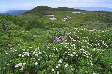 松仙園（北海道・大雪山）  © 愛 高行