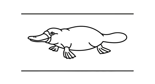 Minimalist line art illustration of a swimming platypus with distinctive bill and webbed feet