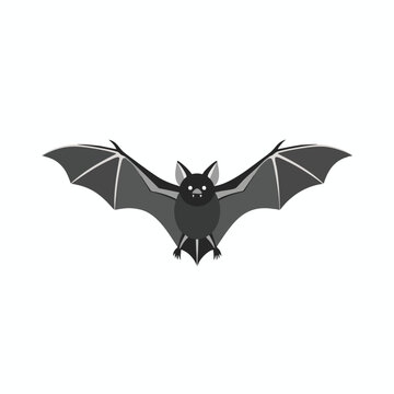A stylized dark gray bat with wide spread wings and white eyes hovers