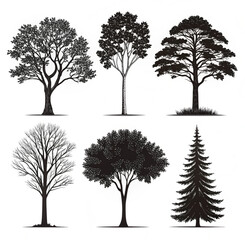 Obraz premium set of trees