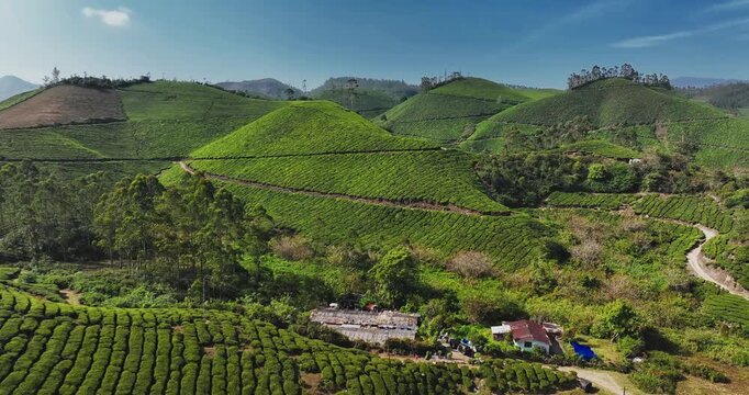 Cinematic aerial view of scenic tea plantation, terraced hill valley in Munnar, Kerala, India. Aerial view of a tea plantation in Munnar. The beautiful Western Ghats mountain range in Kerala