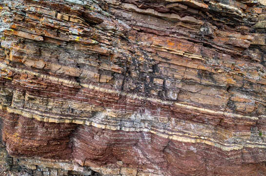 Layered Sedimentary Rock Cliff Showing Striking Strata in the Canadian Rockies, Canada