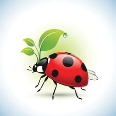 Fototapeta premium Ladybug with green plant sprout.