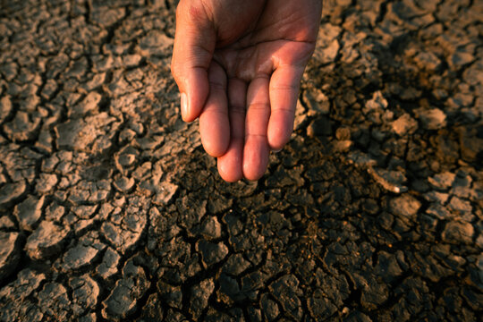 Hand catching scarce water drops over severely cracked drought soil under extreme dryness.