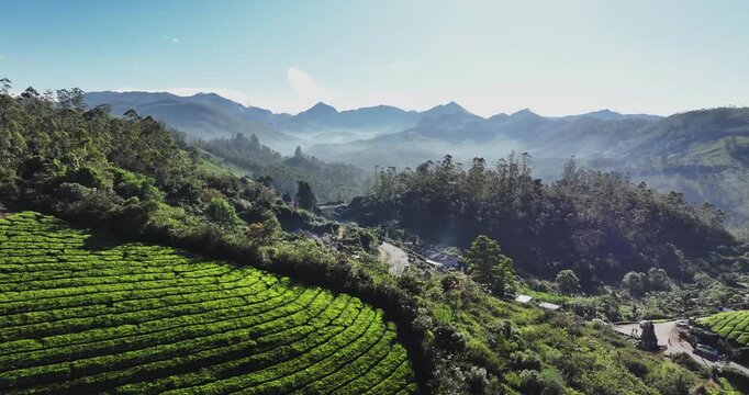 Cinematic aerial view of scenic tea plantation, terraced hill valley in Munnar, Kerala, India. Aerial view of a tea plantation in Munnar. The beautiful Western Ghats mountain range in Kerala