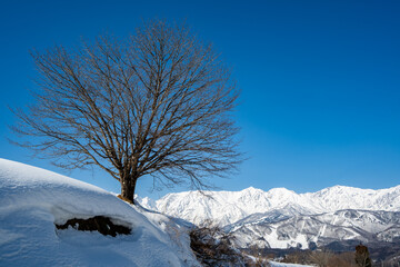 白馬村から望む冬の北アルプス © RATM