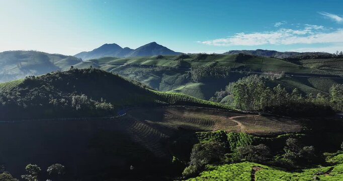 Cinematic backward fly aerial shot of Tea Plantation hill valley in Munnar, Kerala, India. Aerial view of a tea plantation in Munnar. The beautiful Western Ghats mountain range in Kerala
