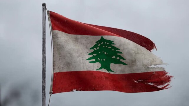 Tattered flag flaps in a bleak wind. Red and white stripes fray at the edges. Green cedar tree emblem stands bold. Gale-force winds whip the flag's frayed corners. Sky is overcast, heavy with grey