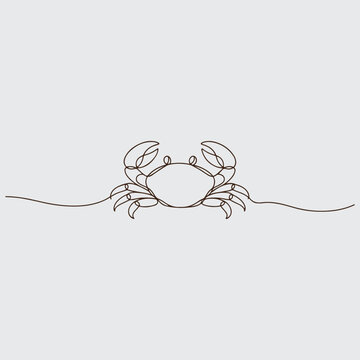 Minimal Crab Line Drawing Marine Illustration