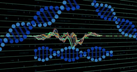 Naklejka premium Animating DNA helix and multicolor waveform on dark dashboard, with blue nodes, teal grid, labels