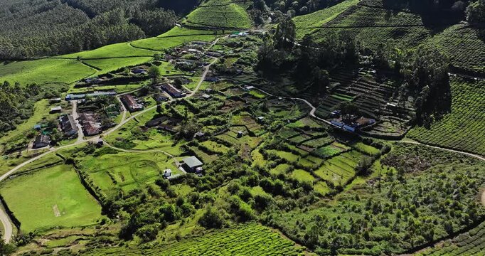 Cinematic aerial view of a village situated amidst Tea Plantation Hill Valley in Munnar, Kerala, India. Aerial view of a tea plantation in Munnar. The beautiful Western Ghats mountain range in Kerala