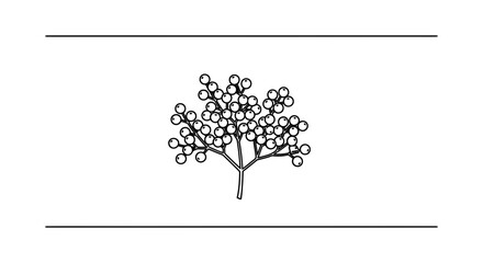Obraz premium Minimalist botanical illustration of a berry cluster on a branched stem in black outline graphic