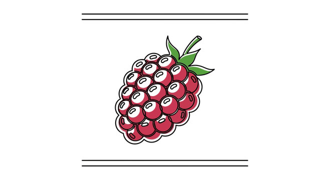 Vibrant hand-drawn red raspberry illustration with subtle highlights for fresh design