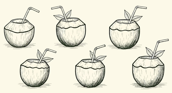 A naive outline sketch vector illustration of six coconut drinks on a beach for a summer vacation