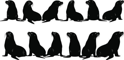 Sea lion silhouette set, black vector icons in sitting and resting poses, isolated clipart for marine animal, nature, wildlife, design, study © Ideasy Mind