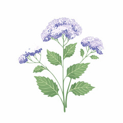 Naklejka premium Purple hydrangea flower branch with leaves with transparent background