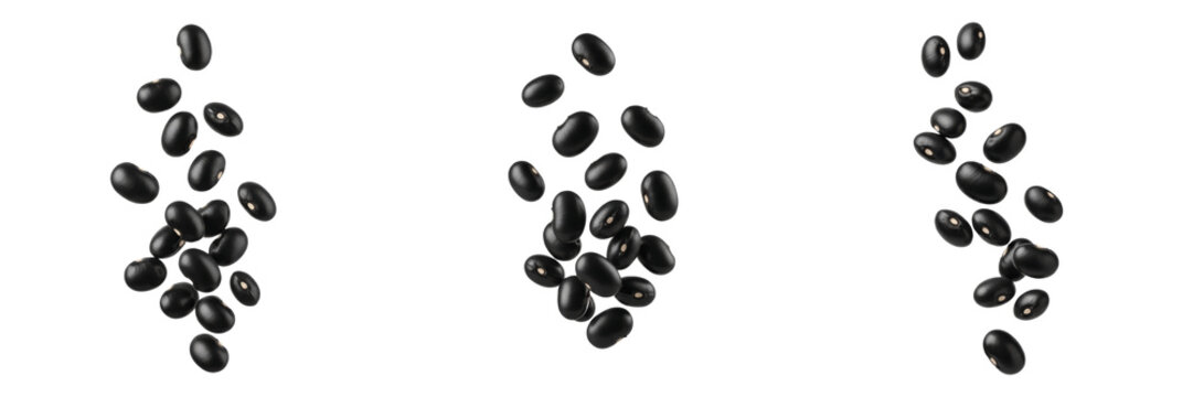 Falling black beans isolated on white background, group of raw dry black turtle beans flying in the air.