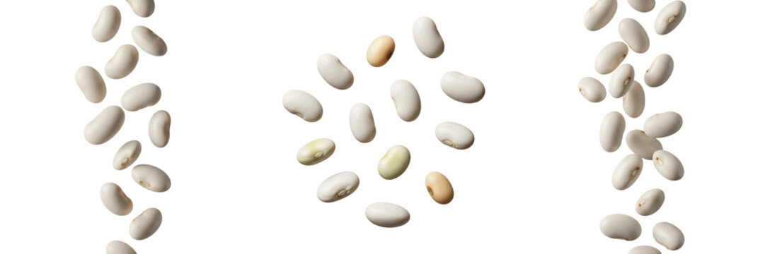 Falling white beans collection isolated on white background, group of raw navy beans flying in the air.