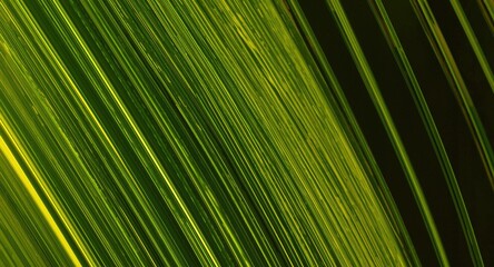 Obraz premium Yellow and green gradient ultraviolet diode strips in abstract formation