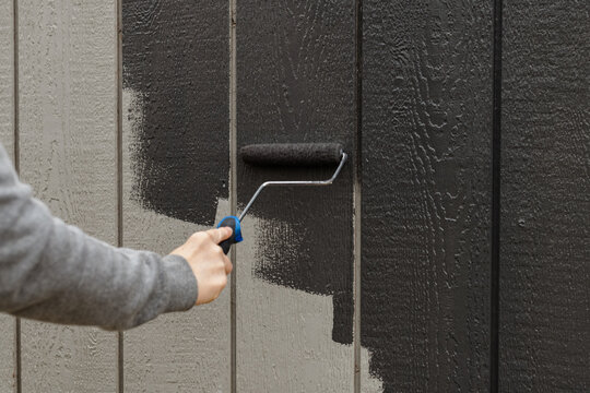 A woman updating an old barn for chickens painting it a dark grey color. 
