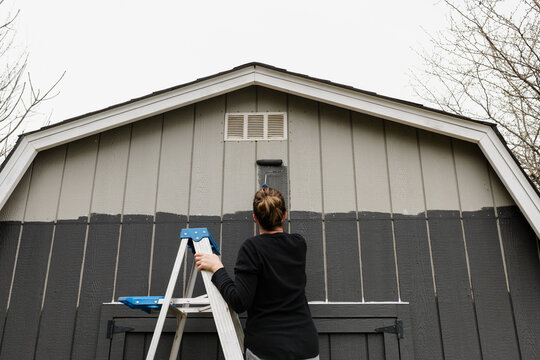 A woman updating an old barn for chickens painting it a dark grey color. 
