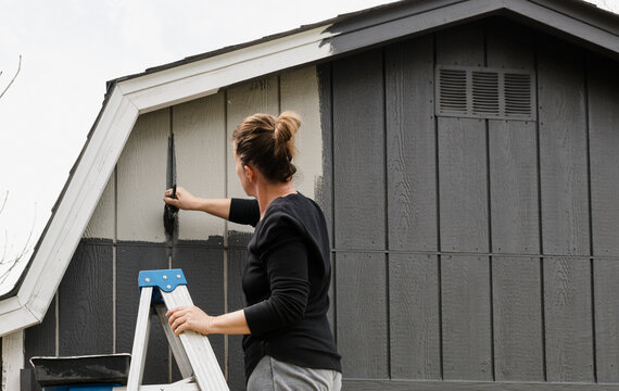 A woman updating an old barn for chickens painting it a dark grey color. 