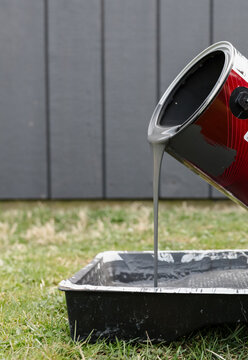 Pouring paint into a tray for updating a barn in the spring. 