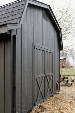 Chickens coming in and out of a solar powered chicken coop door.