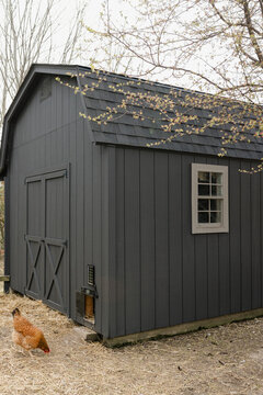 A freshly painted barn in the spring for chickens. 