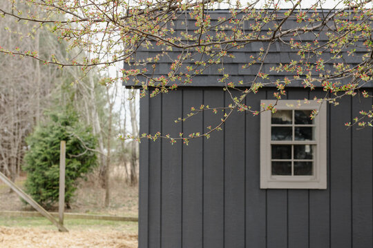 A freshly painted barn in the spring for chickens. 