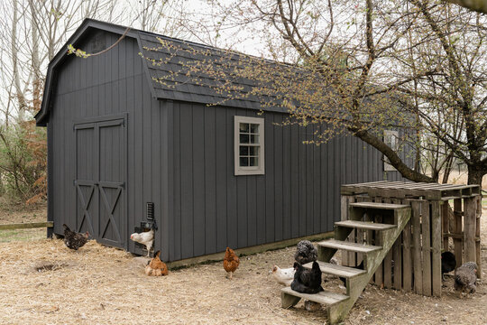 A freshly painted barn in the spring for chickens. 