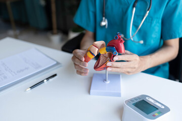 Fototapeta premium Doctor holding and exemine heart model