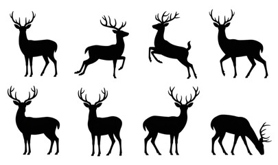 Fototapeta premium A herd of diverse domestic cattle with varying horn shapes and coat colors isolated on transparent background