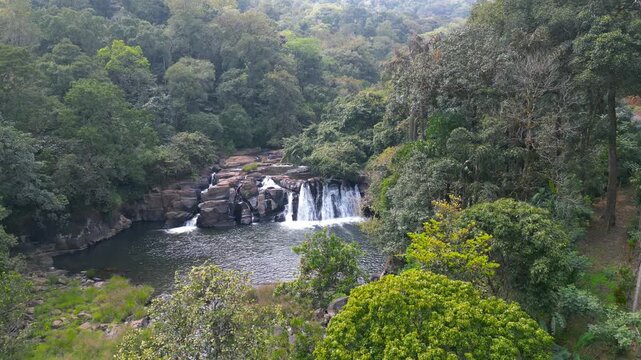 Lush green rainforest jungle with Kote Abbe waterfall and river in Coorg district, India.