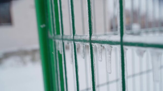 Icicles hanging from green mesh fence close-up harsh winter