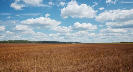 Naklejka premium Visual artwork of natural landscape with textured grass wood patterns and cumulus clouds in a blue brown palette