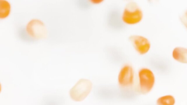 Macro View of Dried Popcorn Kernels Falling on White Surface