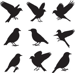 Fototapeta premium Set of flying birds sign. Dark silhouettes isolated on white.