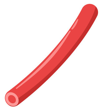 Curved pool noodle swim accessory illustration