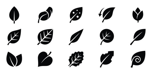 Fototapeta premium Collection of fifteen diverse black silhouette leaf icons, showcasing various shapes, textures, and styles of foliage