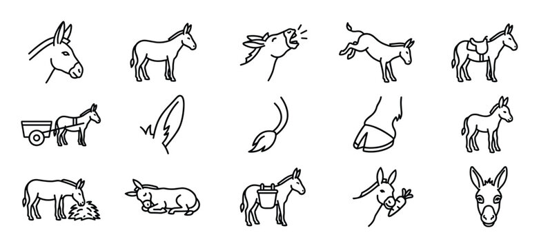 Collection of fifteen black outline donkey icons depicting various poses, actions, and body parts, presented in a clean, minimalist style