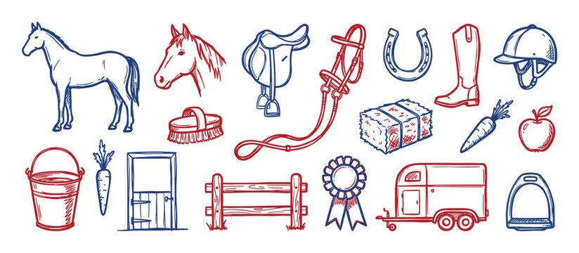 Various hand-drawn equestrian elements, including horses, riding gear, and stable items, are depicted in a charming sketch style