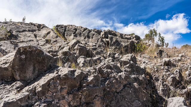 Rocky mountain slope. Yellow, dry grass grows among the gray boulders. A tree at the top against a background of blue sky and clouds. Peru.