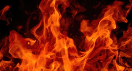 Fototapeta premium Vivid ghost chili peppers demonstrating their exceptional fiery heat