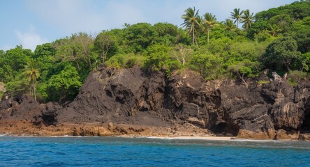 Obraz premium Shoreline with tropical trees and rugged volcanic rocks emphasizing natural erosion processes